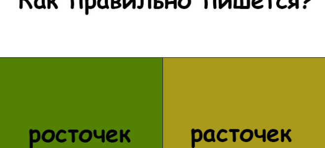 “Расточек” или “росточек” – как пишется?