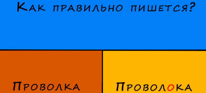 “Проволка” или “проволока” какой вариант верный?