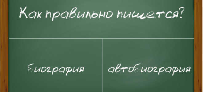 Как пишется слово “биография” и “автобиография”?