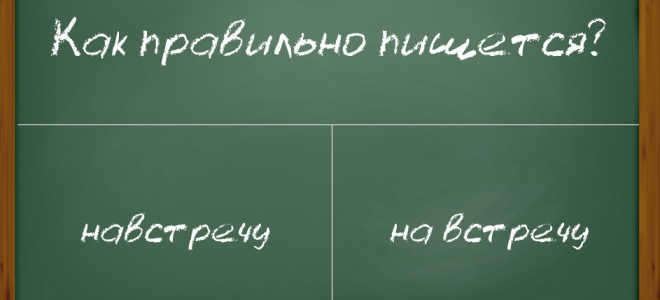 Как правильно писать слово «навстречу»: слитно или раздельно?