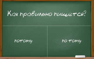 «По тому» или «потому» — какое написание выбрать?