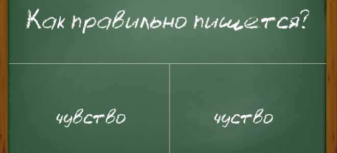 Как правильно писать слово «чувство»?