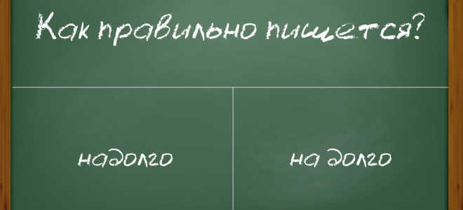 Особенности правописания лексемы “надолго”