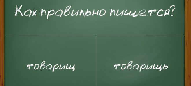 Как пишется слово “товарищ”?
