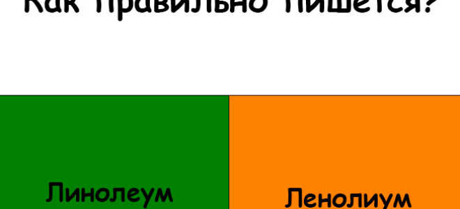 Как пишется слово “линолеум”?
